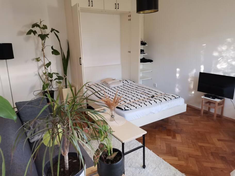 Cozy Studio In The City Centre Near Train Station Bratislava Bagian luar foto